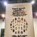 용순농장 | [용인]아이와 가볼만한 곳, 용인곤충테마파크 6살 아이와 방문후기 (동물먹이주기 곤충만져보기 곤충빵 등)