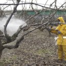 양주시농업기술센터 이미지