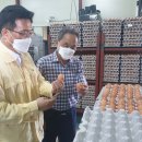 대한식품유통 이미지