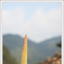 지경약수터 이미지