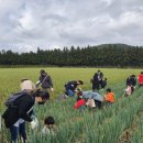 성읍리-23 이미지