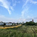 제주 올레길 15코스 A | 제주 올레길 15코스(A코스) - 한림항에서 고내포구까지
