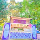 판교어린이집 이미지