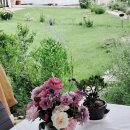 아드레이 이미지