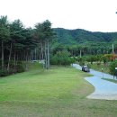 가래골농원 캠핑장2 이미지