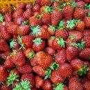 능수목장 이미지