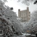 은 세상 이미지