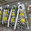 인천사랑병원 이미지