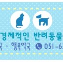 루비약국 이미지