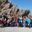 현옥카센타 이미지