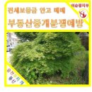 무지개부동산중개 이미지