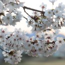 황룡어린이공원 이미지