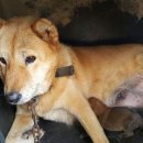 옥돌농장 이미지