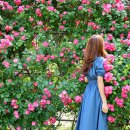 그늘막113 이미지