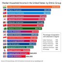 미국 인종별 가구 연수입 - 1위 인도계 그렇다면 CEO는? 이미지