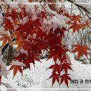 대치궁한의원 이미지