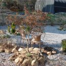 안나농원 이미지