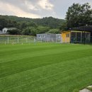 개떼월드 이미지