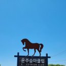 운주승마클럽 이미지