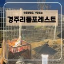 경주 리틀포레스트 캠핑장 방갈로, 개별 화장실·주방 있는 가족캠핑 후기