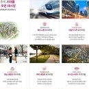 데시앙 이미지