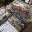 라포레캠핑장 이미지