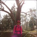 카페 첨산 | 고흥 두방산~첨산