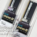 서린글로벌 | 가성비램 중 원픽 DDR5 16G 메모리 추천 사용후기 [TeamGroup DDR5-5600 CL46 Elite 서린 (16GB)]