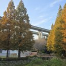 용소웰빙공원 이미지