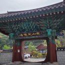 완산-163 이미지