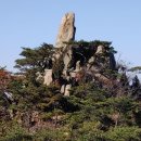 낙성대로 이미지