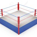 스타일복싱 이미지