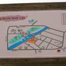 메밀향기