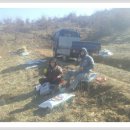 삼형제농장2 이미지