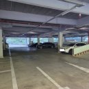 구봉산 도등 | [2025 서구 SNS 서포터즈]부산 가을 나들이 가볼만한곳 서구 꽃마을 방문후기