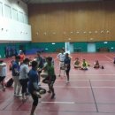 돌산체육관 이미지