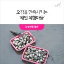 매화둠벙마을 | [태안 여행] 오감을 만족시키는 태안 체험마을로 떠나요~