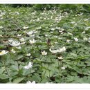 우회도로삼거리(우) 이미지