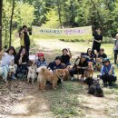 멍스퀘어 이미지