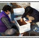 참들농장 이미지