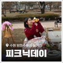 308 | 수원 행궁동 데이트추천! 방화수류정 피크닉 '피크닉데이' 벚꽃세트 대여 후기