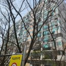 강남-185 이미지