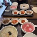 참조아약국 | 급성 맹장염 판정… 초기증상/맹장수술 후기 및 2박3일 입원기록