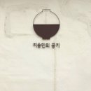위드케어