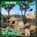 용담동 선사무덤유적 네이버블로그