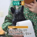 불독 | 무타공 휴지걸이 추천 화장실 인테리어까지 되는 팹큐브 불독 후기