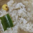 (주)원주상회 | 원주 치악산 당일치기 코스 🌼 개나리 활짝 + 백숙 맛집 서울상회 + 카페 더나무