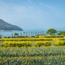 공곶이가는길 이미지