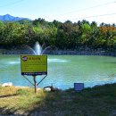 도마치 캠핑장 이미지