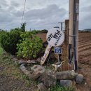 코롱상회 이미지